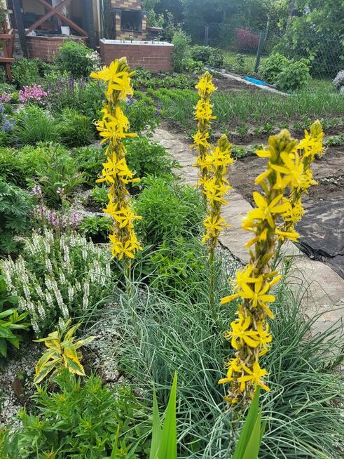 Działka rekreacyjna