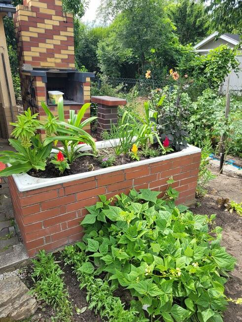 Działka rekreacyjna