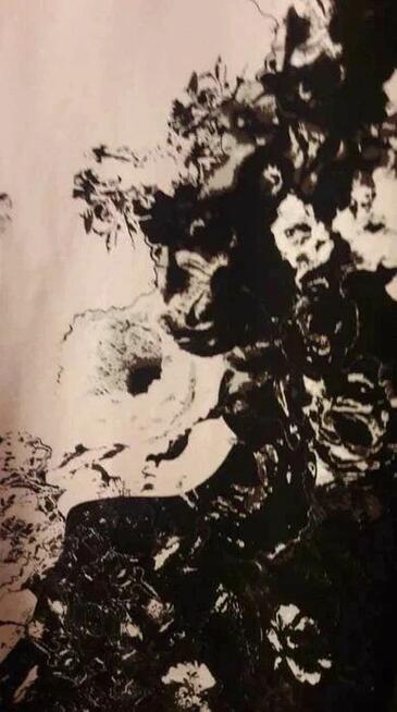 Sukienka dzianina biała czarna XL elastyczna w kwiaty