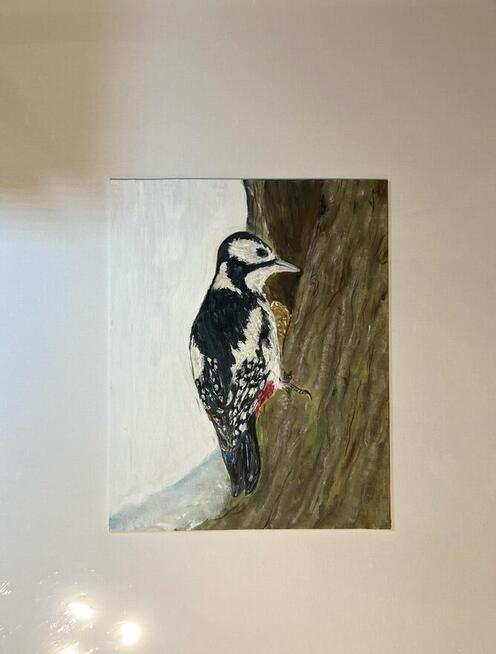 Strażnik lasu – dzięcioł, obraz olejny 24×30 ręcznie malo