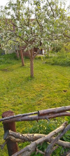 Sprzedam prawa do działki ROD Relax Białystok, 400 m2