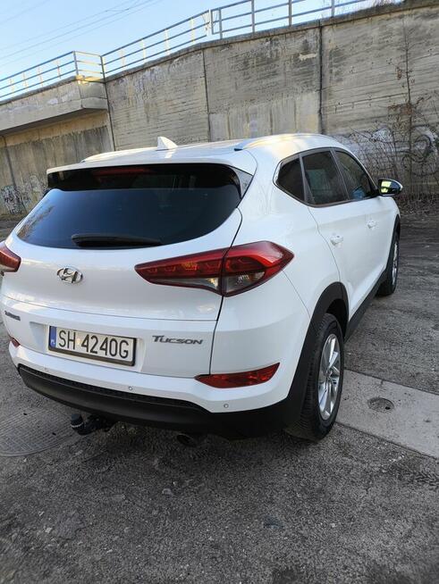 Sprzedam ładnego tucsona