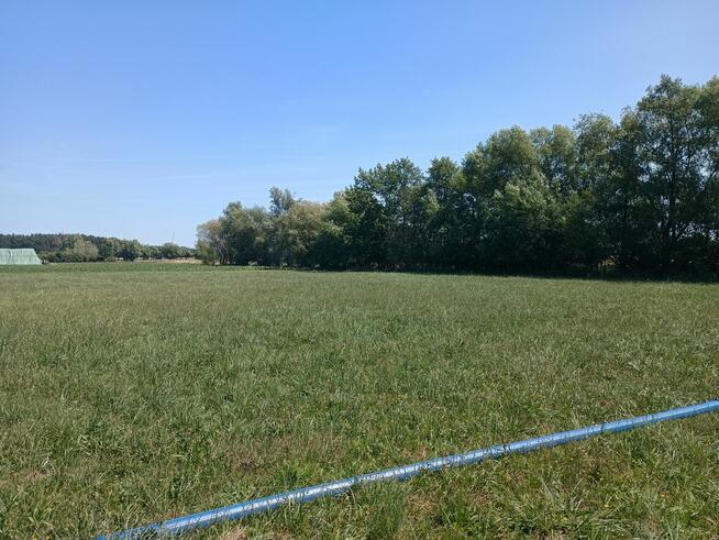 Działka budowlana WZ