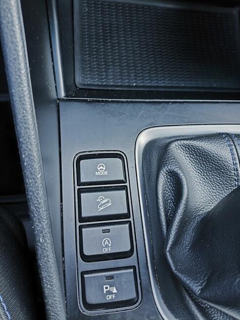 Sprzedam ładnego tucsona