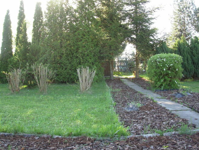 Działka rekreacyjna