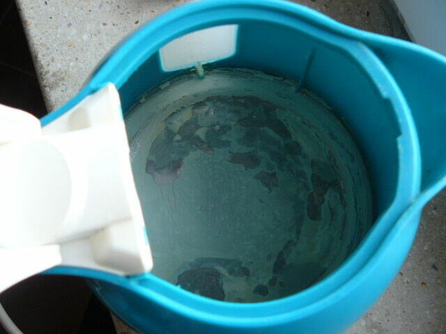 Czajnik el.Sencor 1 litr 20 zl