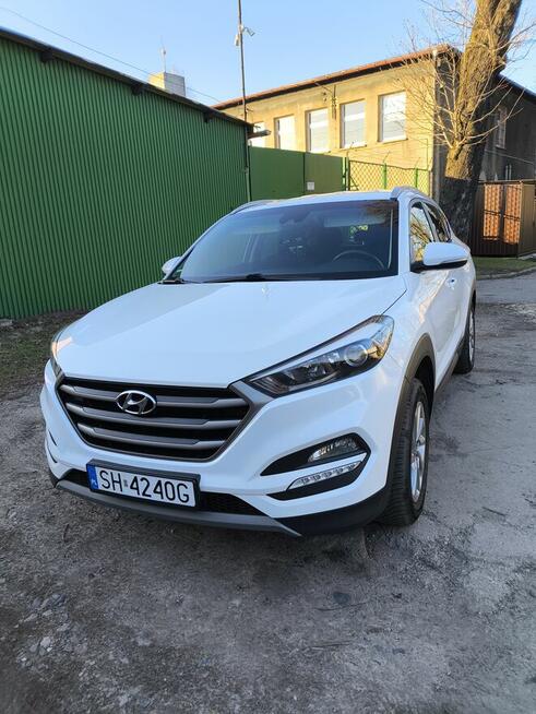 Sprzedam ładnego tucsona