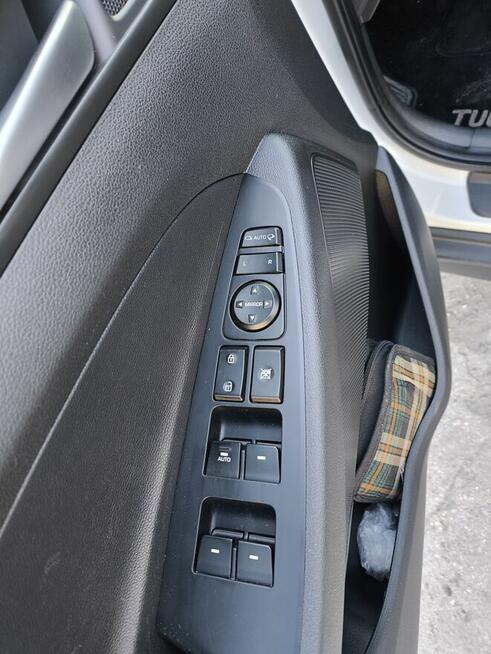 Sprzedam ładnego tucsona