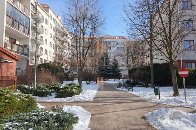 ZALANE SŁOŃCEM | ANTRESOLA | ZAMKNIĘTE OSIEDLE