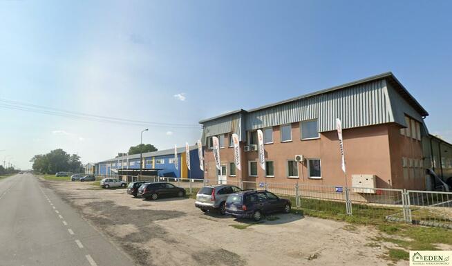 Lokal użytkowy Łuków