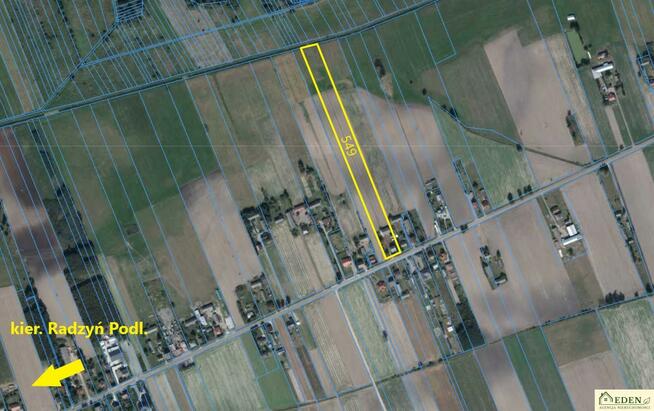 Dom Ustrzesz gm. Radzyń Podlaski