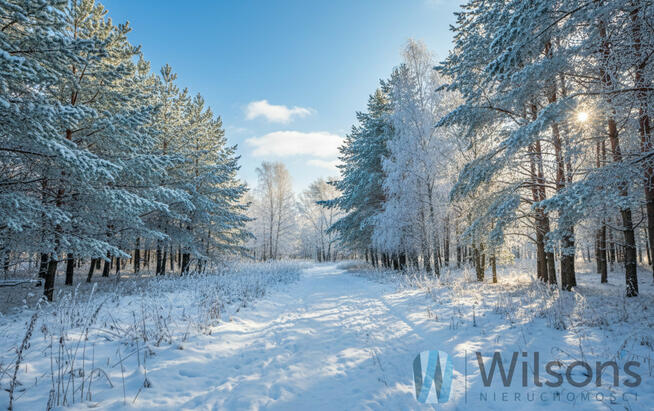 Działka rolna Czosnów, Cząstków Polski