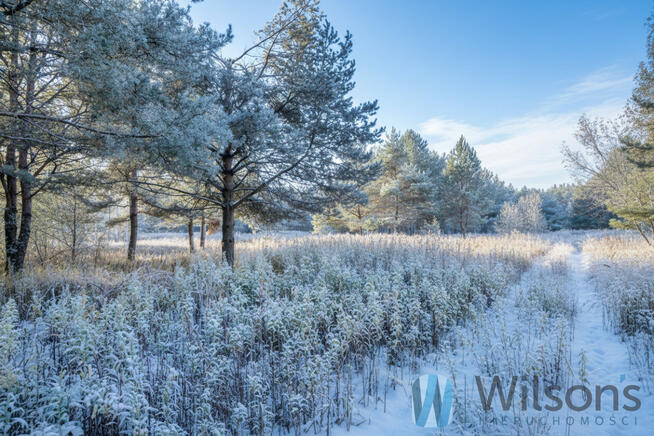 Działka rolna Czosnów, Cząstków Polski