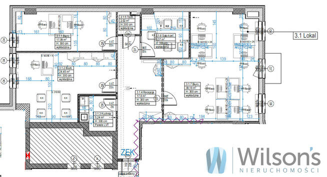 Lokal użytkowy Warszawa gm. Wola Wola, Żelazna