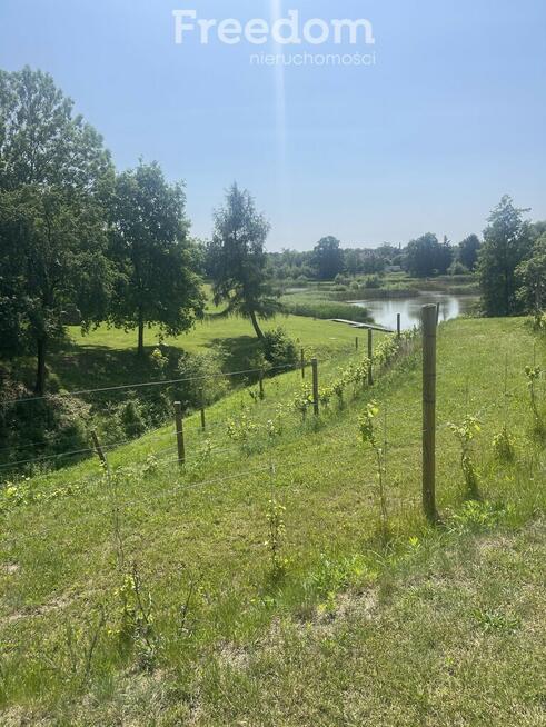 Centrum 6,5 ha Szprotawy / zabudowane/działki