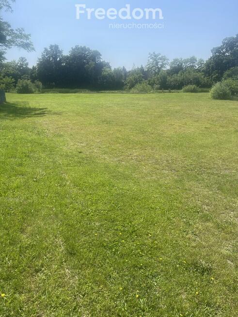 Centrum 6,5 ha Szprotawy / zabudowane/działki