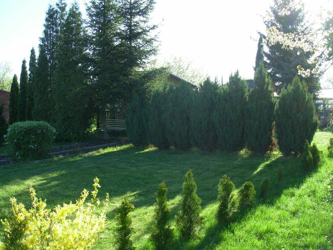 Działka rekreacyjna