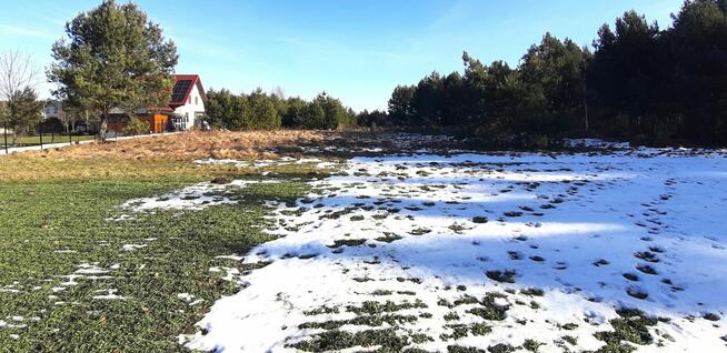 Działka w Bilczy, uzbrojona, za 290zł/m2.