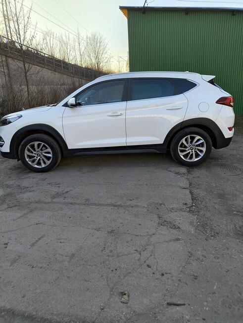 Sprzedam ładnego tucsona