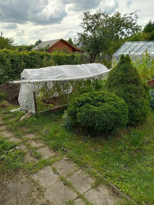 Sprzedam prawa do działki ROD Relax Białystok, 400 m2