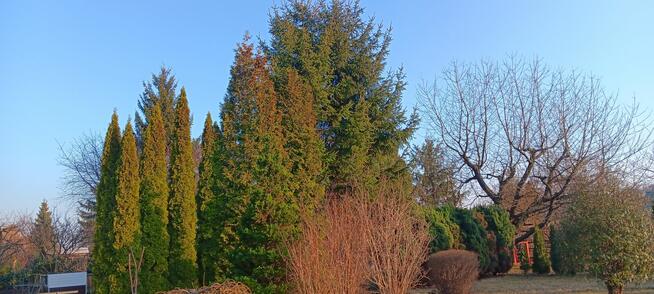 Działka rekreacyjna