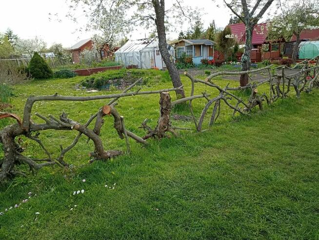 Sprzedam prawa do działki ROD Relax Białystok, 400 m2