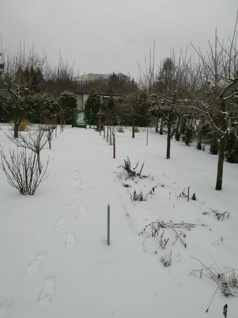 Sprzedam działkę ROD