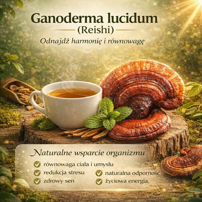 Korzyści Kawy z Ganodermą dla codziennego stylu życia !!!