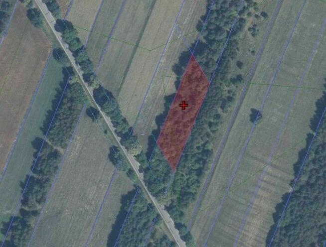 Działka budowlana w Błędnicy – Mieszkaniowo Usługowa przy DW