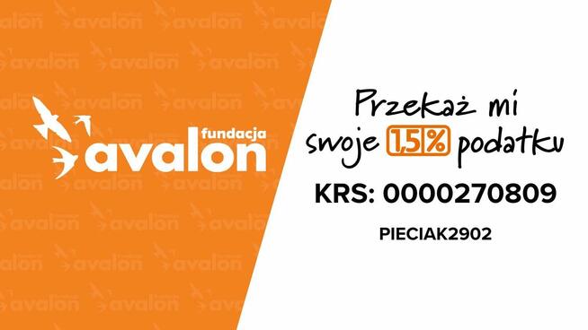 Szukam związku opartego na szacunku I zaufaniu