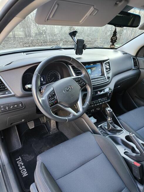 Sprzedam ładnego tucsona