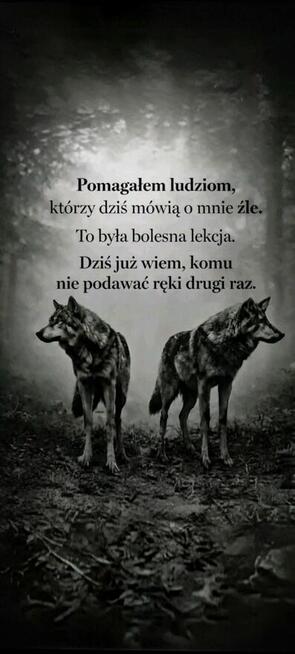 Może to właśnie siebie szukamy?