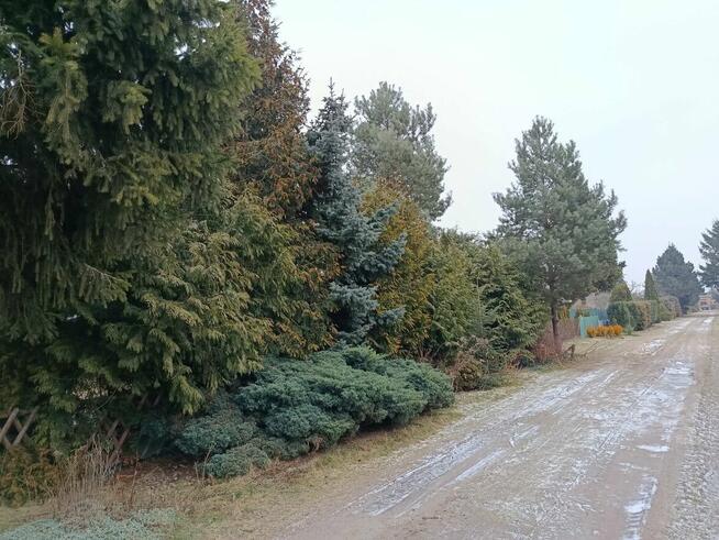 Sprzedam działkę ROD