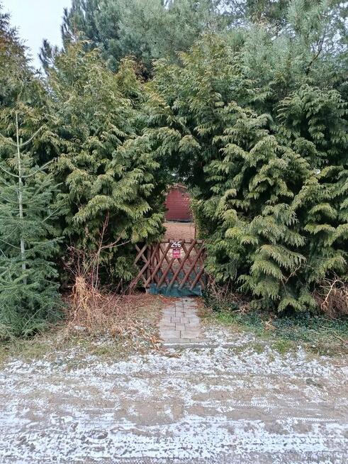 Sprzedam działkę ROD