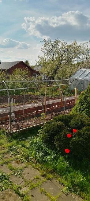 Sprzedam prawa do działki ROD Relax Białystok, 400 m2