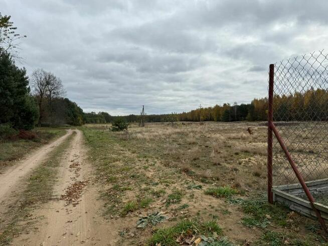 Urokliwa działka z możliwością zabudowy w otoczeniu lasów