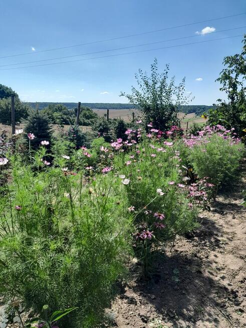 Nowy dom do wykończenia