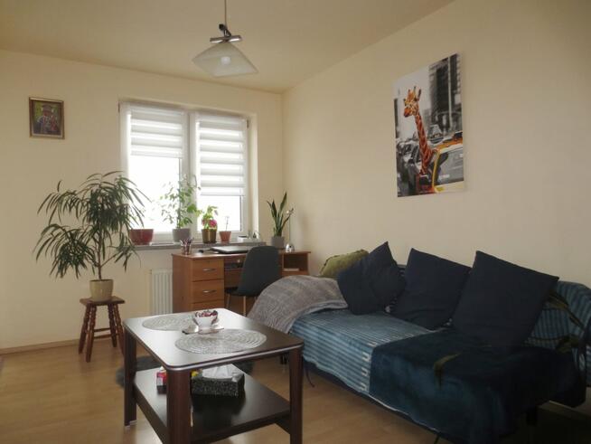 Mieszkanie Kraków Dębniki, Grota Roweckiego