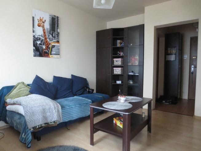 Mieszkanie Kraków Dębniki, Grota Roweckiego