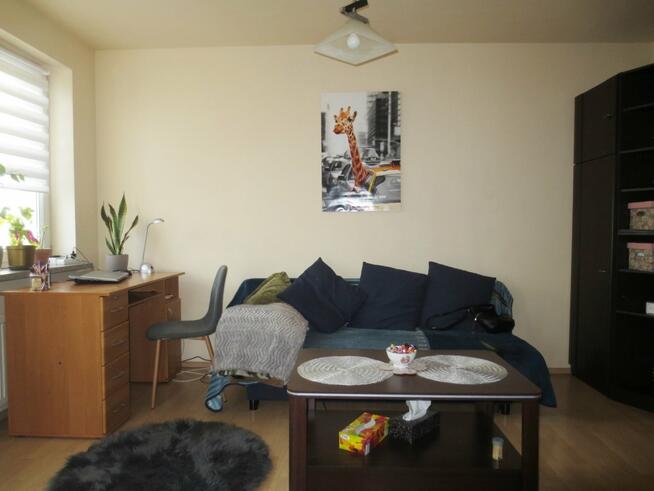 Mieszkanie Kraków Dębniki, Grota Roweckiego