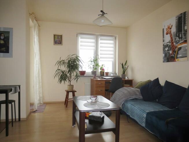 Mieszkanie Kraków Dębniki, Grota Roweckiego