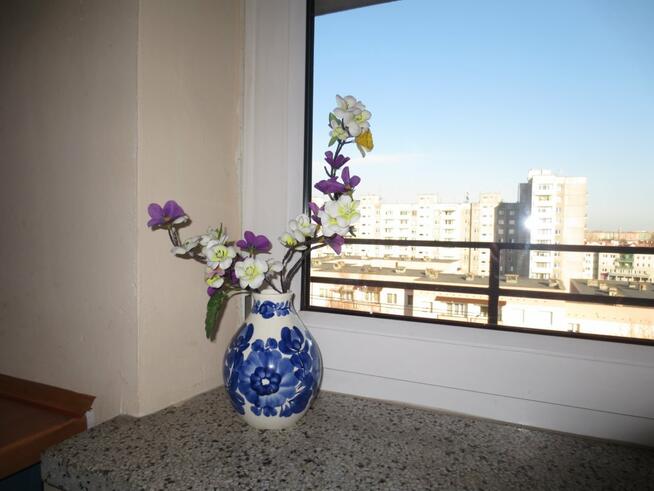 Mieszkanie Kraków Dębniki, Grota Roweckiego