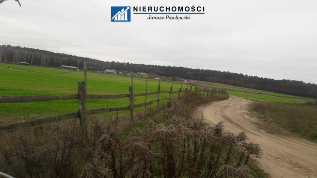 Działka inwestycyjna Guzice gm. Polkowice,