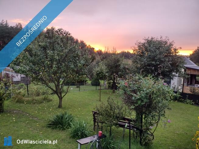 Działka ROD z domkiem 2026 – Aleksandrów Kujawski