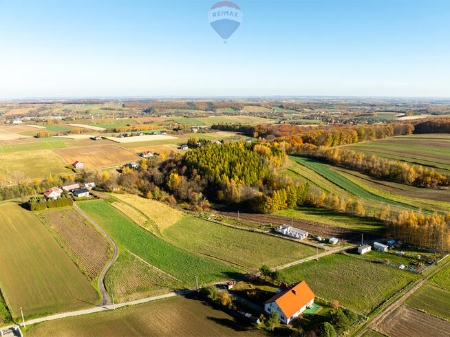 Działka z bijącym źródłem i kawałkiem lasu