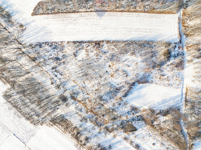 Rolna w urokliwej okolicy