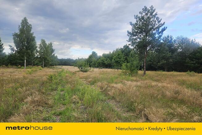 Działki budowlane w Teodorowie!