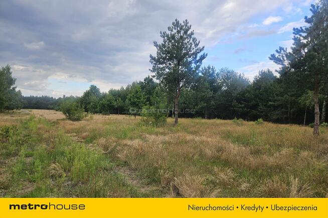 Działki budowlane w Teodorowie!