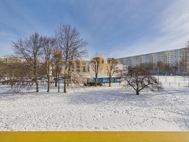 Blisko fal, blisko miasta - z potencjałem!