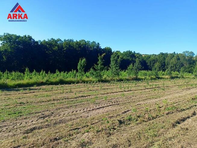 Działka rolna Sadek gm. Jodłownik